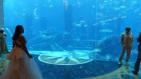 im Atlantis Hotel