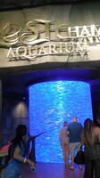 im Atlantis