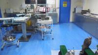in der Klinik