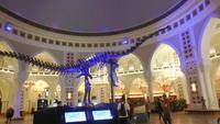 in der Mall