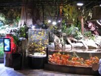 neues Dubai - Aquarium