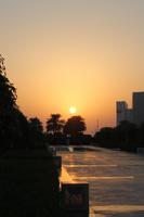 sunset