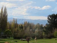 Besuch einer Estancia in El Calafate