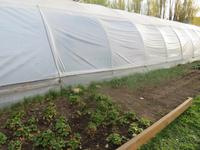 Besuch einer Estancia in El Calafate