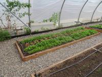 Besuch einer Estancia in El Calafate