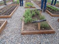 Besuch einer Estancia in El Calafate