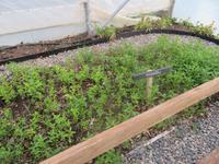 Besuch einer Estancia in El Calafate