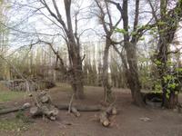 Besuch einer Estancia in El Calafate