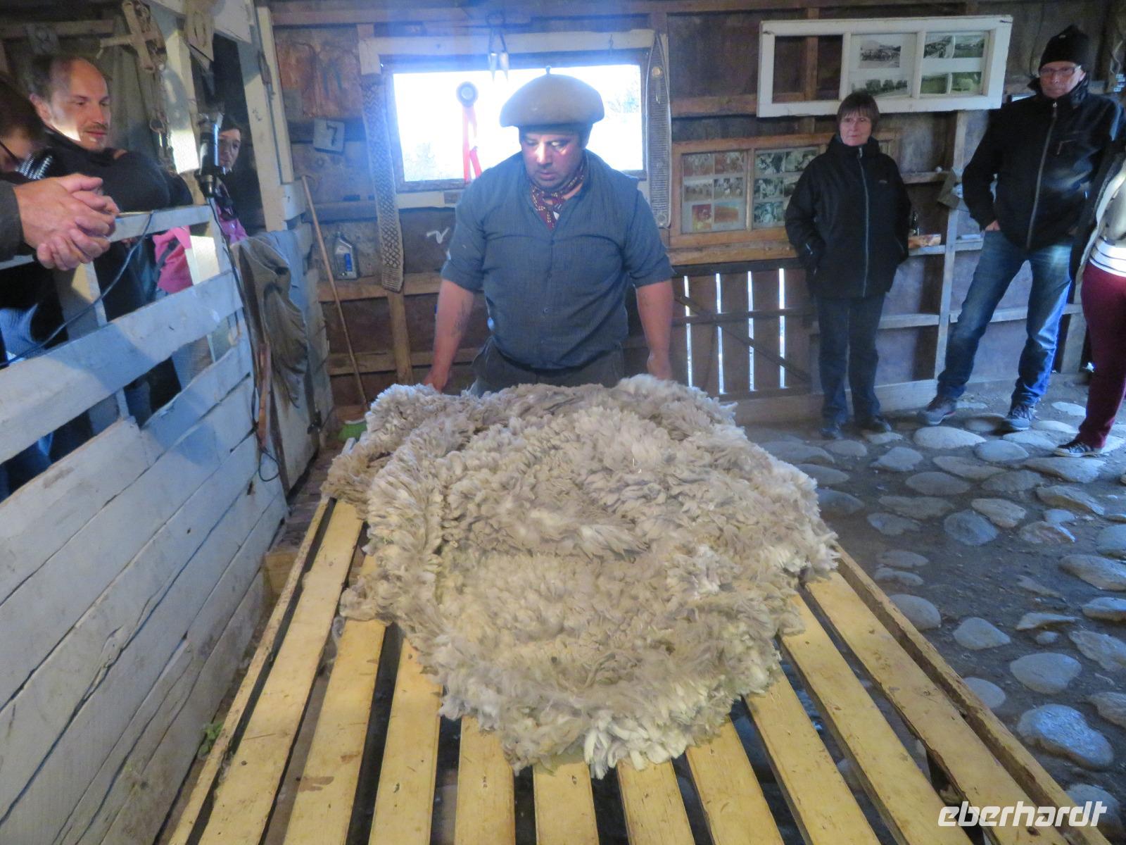 Besuch einer Estancia in El Calafate