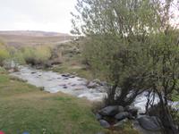 Besuch einer Estancia in El Calafate