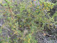 Nationalpark Torres del Paine
