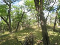 Nationalpark Los Glaciares
