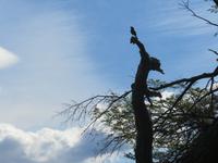 Nationalpark Torres del Paine
