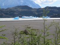 Nationalpark Torres del Paine