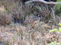 Nationalpark Torres del Paine