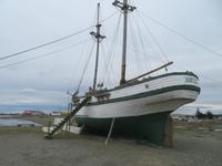 Nao Victoria - Punta Arenas