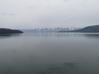 Schifffahrt mit der Stella Australis