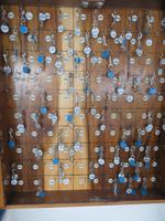 Schifffahrt mit der Stella Australis