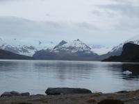 Ausflug Ainsworth Bucht