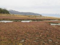 Ausflug Ainsworth Bucht