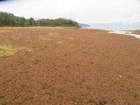 Ausflug Ainsworth Bucht