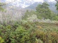 Ausflug Ainsworth Bucht