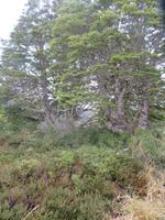 Ausflug Ainsworth Bucht