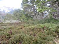 Ausflug Ainsworth Bucht