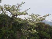 Ausflug Ainsworth Bucht