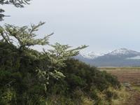 Ausflug Ainsworth Bucht