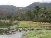 Ausflug Ainsworth Bucht