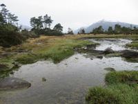 Ausflug Ainsworth Bucht