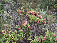 Ausflug Ainsworth Bucht