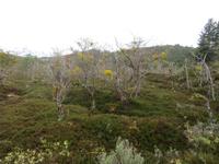 Ausflug Ainsworth Bucht