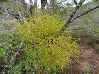 Ausflug Ainsworth Bucht