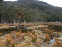 Ausflug Ainsworth Bucht