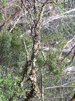 Ausflug Ainsworth Bucht