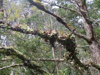 Ausflug Ainsworth Bucht