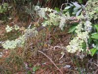 Ausflug Ainsworth Bucht