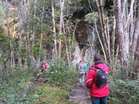 Ausflug Ainsworth Bucht