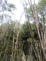 Ausflug Ainsworth Bucht