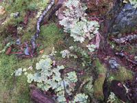 Ausflug Ainsworth Bucht