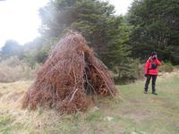 Ausflug zur Wulaia-Bucht