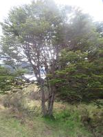 Ausflug zur Wulaia-Bucht