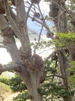 Ausflug zur Wulaia-Bucht