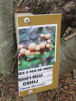 Ausflug zur Wulaia-Bucht