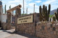 Pucará de Tilcara - Botanischer Garten
