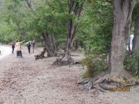 Feuerland-Nationalpark