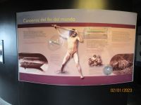 Feuerland-Nationalpark