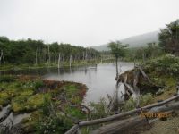 Feuerland-Nationalpark